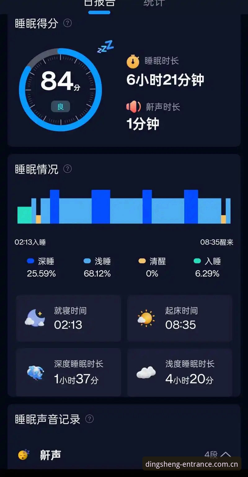 鼎盛入口平台——数字体验的全面解析与创新应用深度分析